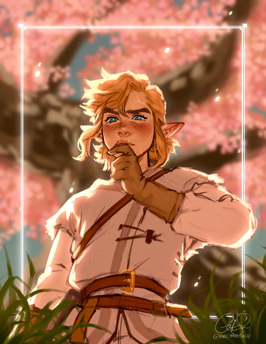 Link (Zelda)